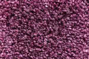 Ковролин AW Masquerade Gaudia 18 фото  | FLOORDEALER